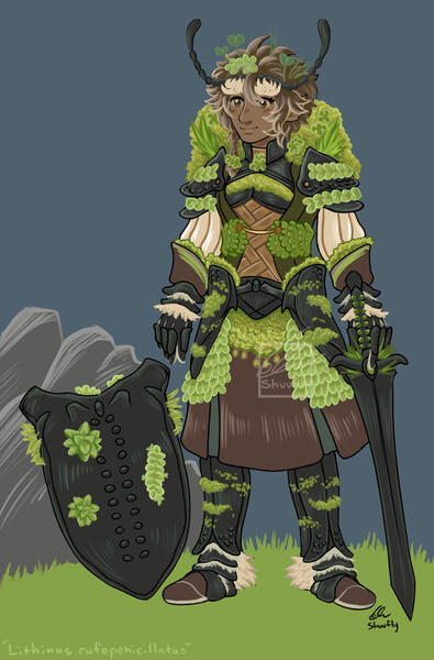 Garden Weevil Knight